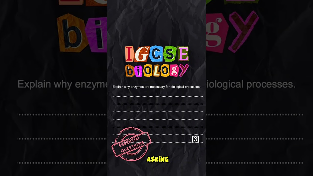 IGCSE Biology Most important Questions for 2026 exams (1.Enzymes)