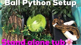 Famous Setting up a ball python! Stand alone tub - My Kryptonite Ball Pythons Net Worth