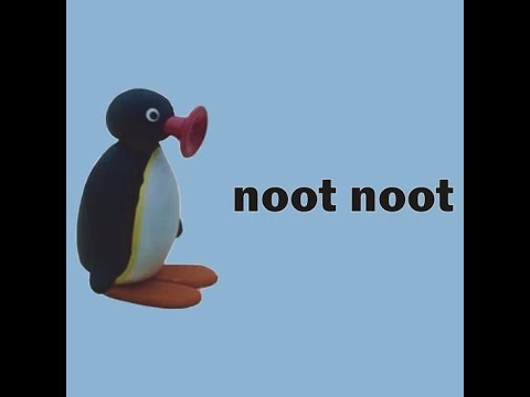 Image result for noot noot