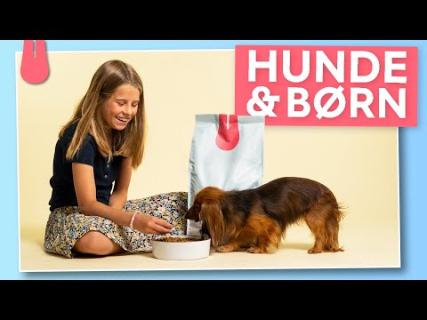 Video: De bedste hunderaser for børn med autisme