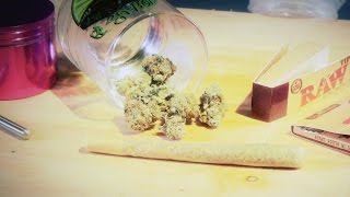 How to Roll a King Size Filter Tip Joint: Marijuana Tips & Tricks Cannabasics #3