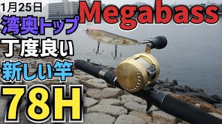 無記名保証書有り　メガバス　ヴァルキリー78H パックロッド　ビッグベイト　旅行 mqdefault.jpg