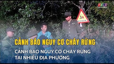 Cảnh báo nguy cơ cháy rừng tại nhiều địa phương | THLC