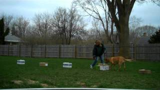 Shelby Seeks Birch 04/21/11