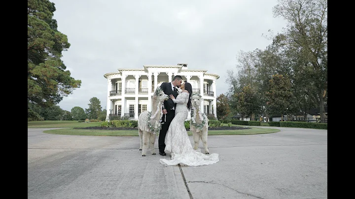 Wedding Film - Michelle + Trent