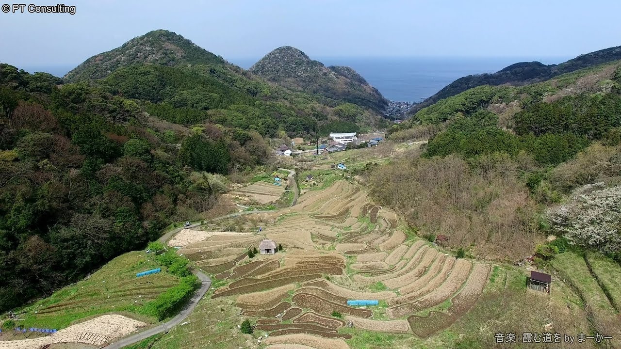 空撮 静岡県 松崎町「石部棚田」 Aerial Shoot above Ishibu Rice Field Matsuzaki