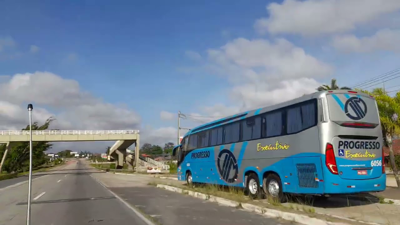 Dando um passeio em bezerros