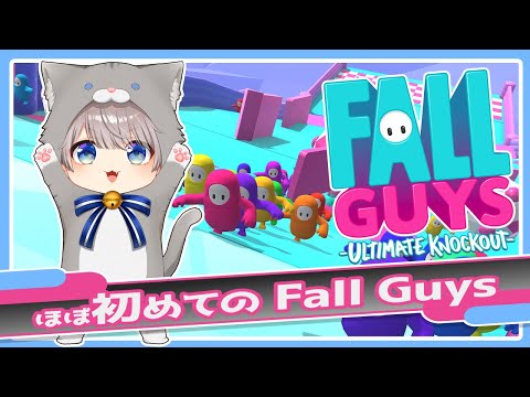 【Fall Guys 】ほぼ初めての Fall Guys！～上手くなりたい～