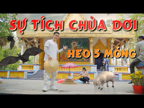 Video Chùa Dơi Sóc Trăng - Sự tích heo 5 móng do người đầu... - youtube