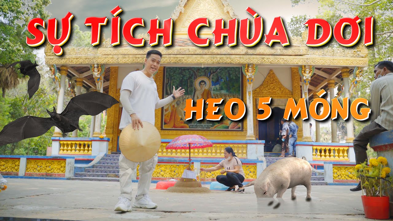 Chùa Dơi Sóc Trăng - Sự tích heo 5 móng do người đầu thai  | Mahatup | Chùa Mã Tộc