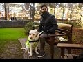 Blind Man Puts GoPro On Guide Dog To Expose Abuse In London | What's Trending Now! Blind Man Puts GoPro On Guide Dog To Expose Abuse In London | What's Trending Now!