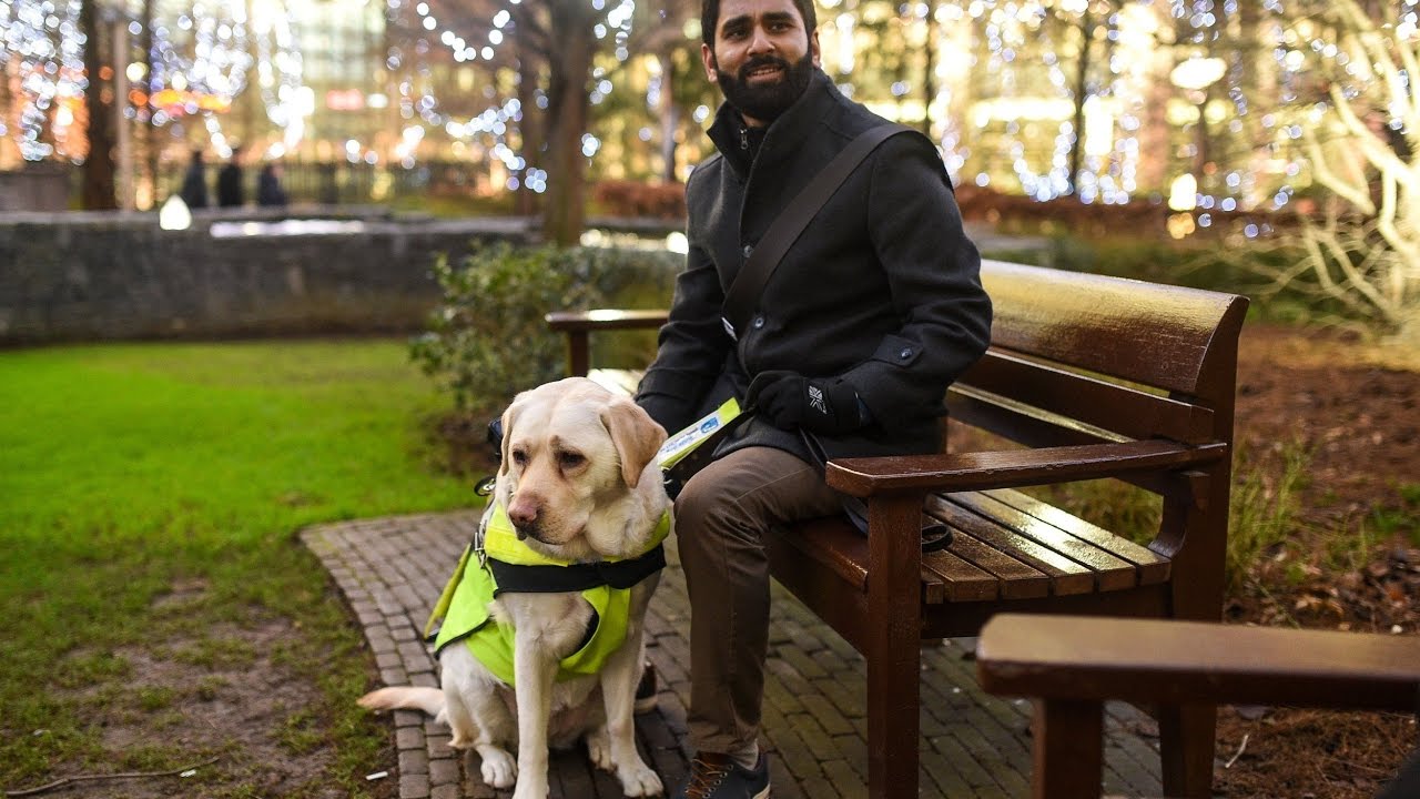 blind man with dog