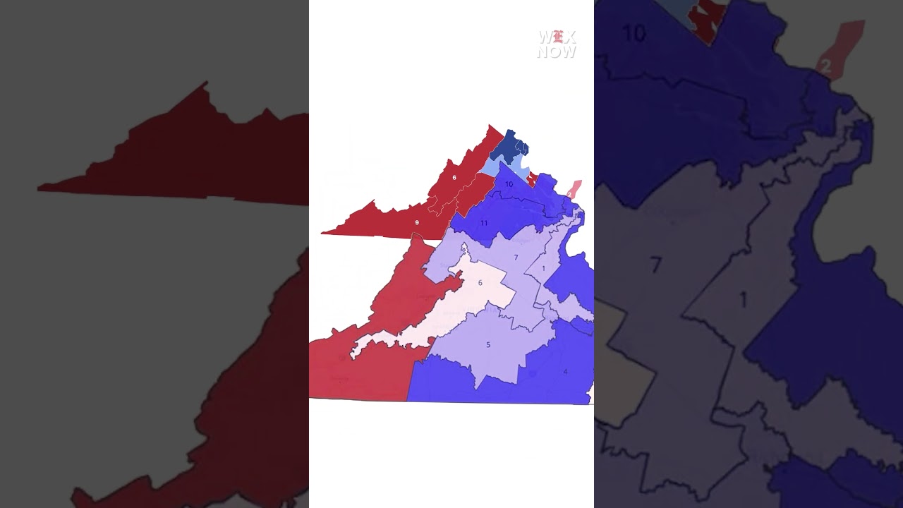 Virginia voters approve high-stakes redistricting referendum