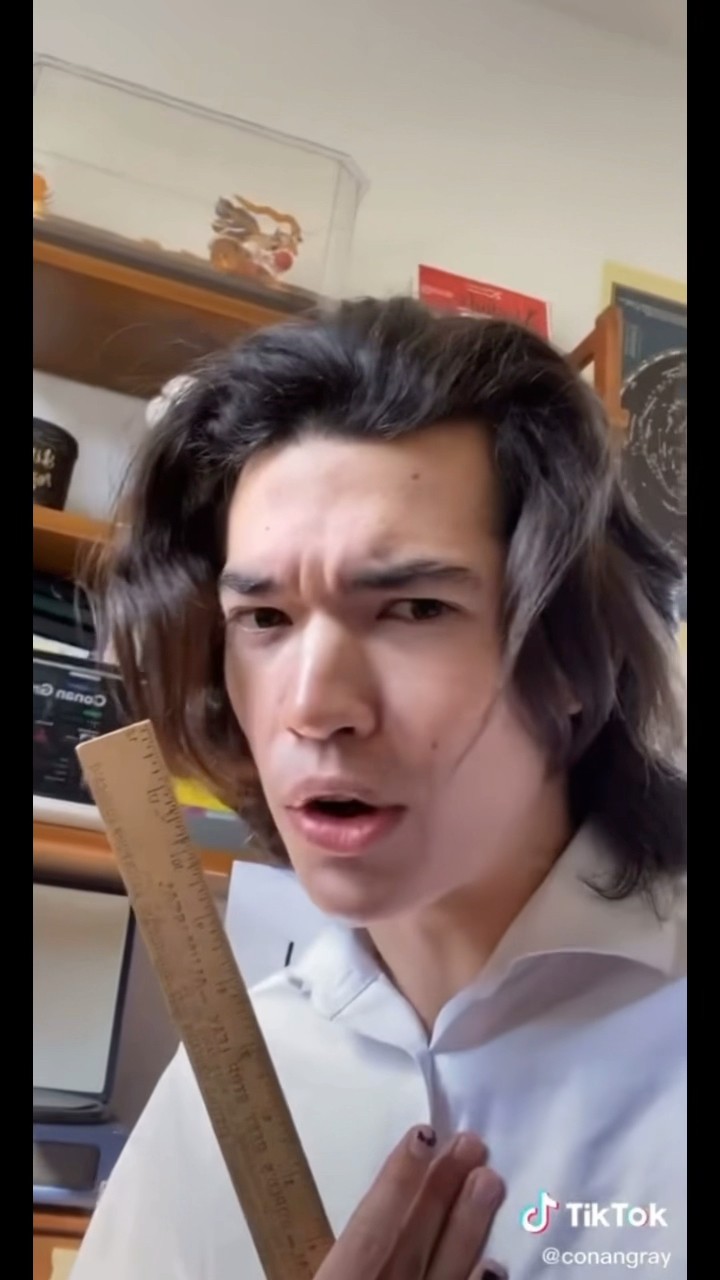 Happy stream crush culture day ? #coneheads #foundheaven #concert #tour #tiktok #conangray