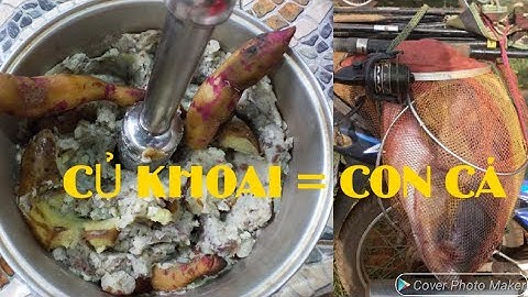 LÀM BÀI MỒI KHOAI LANG Ủ CÂU CÁ CHÉP - TRÔI - TRẮM - MÈ SIÊU HIỆU QUẢ - Sweet potatoes and fish bait