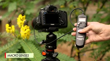 Canon EF 101: Macro Lenses