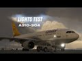 Lights Test in the Airbus A310-304.