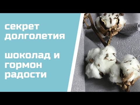 Секрет долголетия, шоколад и гормон счатья. Медицинские новости