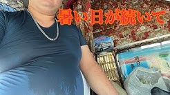 8003tv長谷川和輝 Youtube