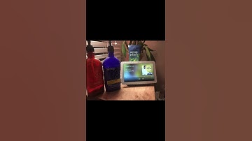 Google home video hub