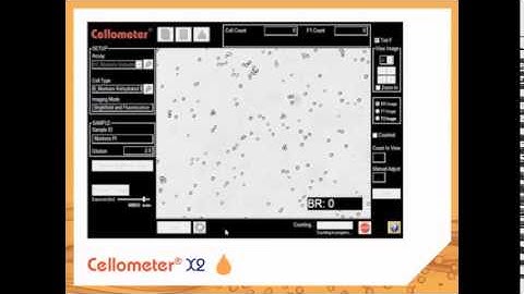 Thermolab : The cellometer X2 image cytometer for cell counting and analysis