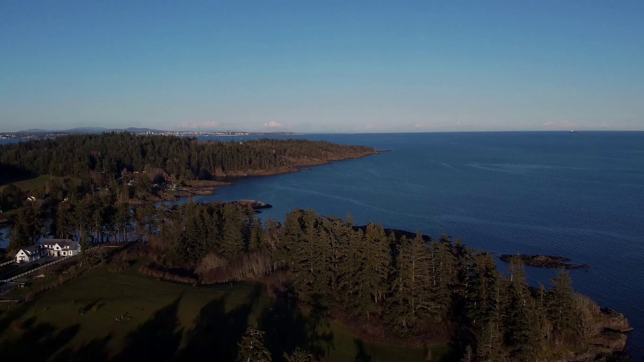 Witty's Lagoon in 60 Seconds (2020)