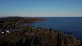 Wittys Lagoon In 60 Seconds 2020