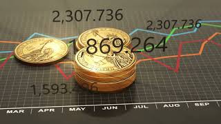 Budget Business Chart Investment Statistics and Report 4K Animation Seamless Loop