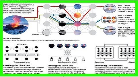 How ai detectives are cracking open the black box of deep learning