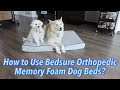 How to Use Bedsure Orthopedic Memory Foam Dog Beds?