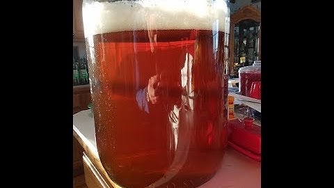 Brewing the Easiest Home Hard Cider!