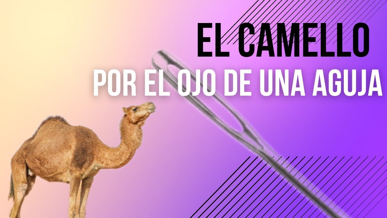 Hablemos de Biblia El ojo de una aguja YouTube