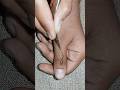 very easy stylish mehndi design।।new mehandi ।। mehndi designs ।। #mehndi