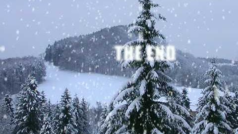 First Flash Animation