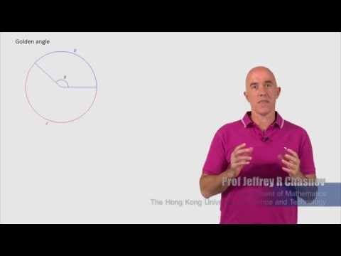The golden angle | Lecture 18 | Fibonacci Numbers and the Golden Ratio