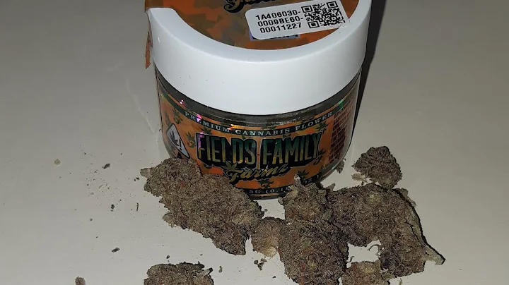 strain review fields family farmz mimosa