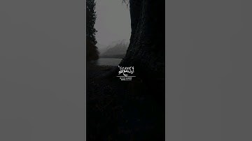 أَإِلهٌ مَعَ اللَّهِ قُل هاتوا بُرهانَكُم إِن كُنتُم صادِقينَ | سورة النمل | القارئ ياسر الدوسري 🎙