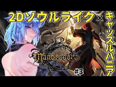 【 Mandragora: Whispers of the Witch Tree 】#3  2DソウルライクキャッスルヴァニアアクションRPG　即死トラップとかは悪だと思う！！【 #vtuber  】