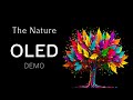 OLED Demo HDR 8K Ultra HD 60fps l The Nature