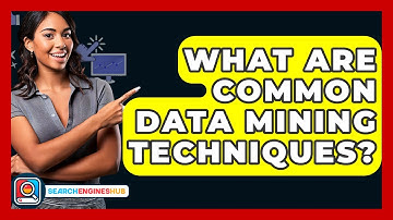 What Are Common Data Mining Techniques? - SearchEnginesHub.com