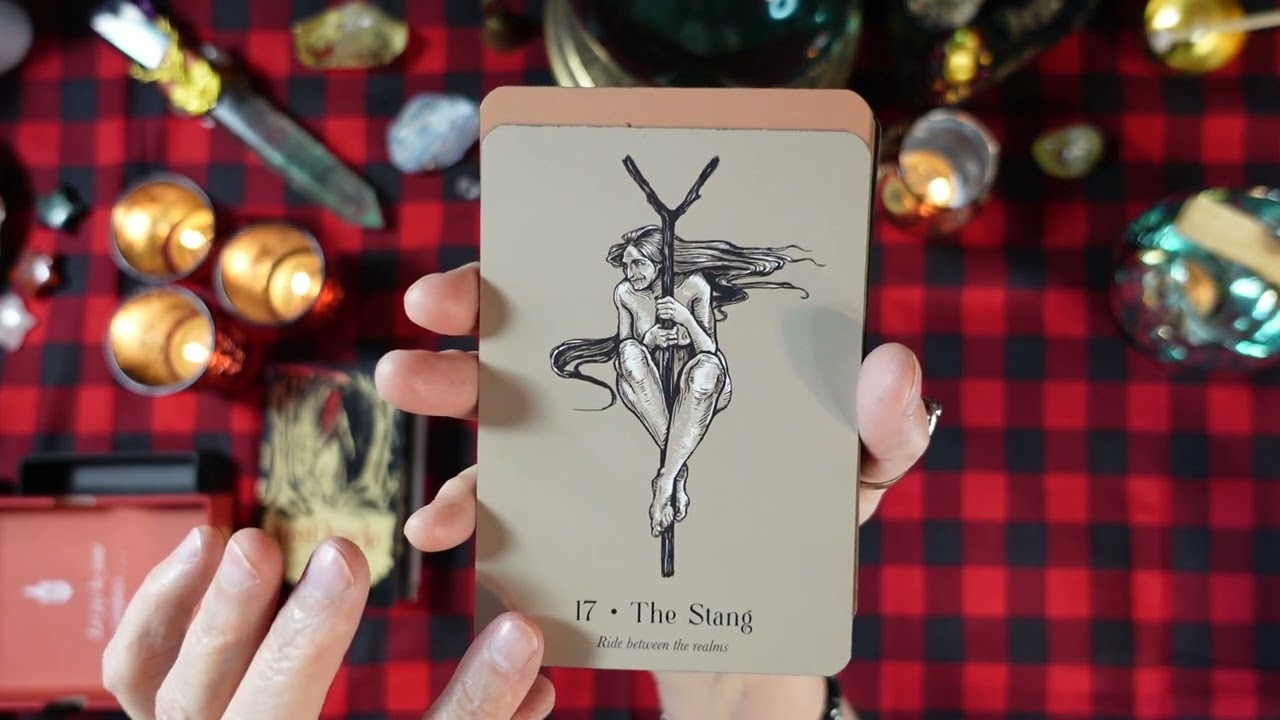 THE LOST ORACLE (NEW IN 2024!) -Deck Review- A ROADMAP FOR THOSE SEEKING HARMONY IN A CHAOTIC WORLD