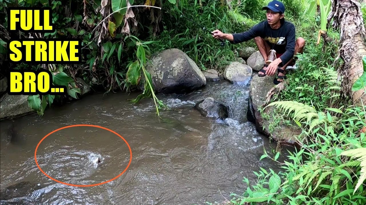 Mantap bro...Baru Datang Langsung Dapat Sambaran