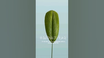 وما علمناه الشعر وما ينبغي له| سورة يس |القارئ عبد العزيز سحيم|