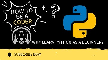 I Tried Learning Python From Scratch In 24 Hours