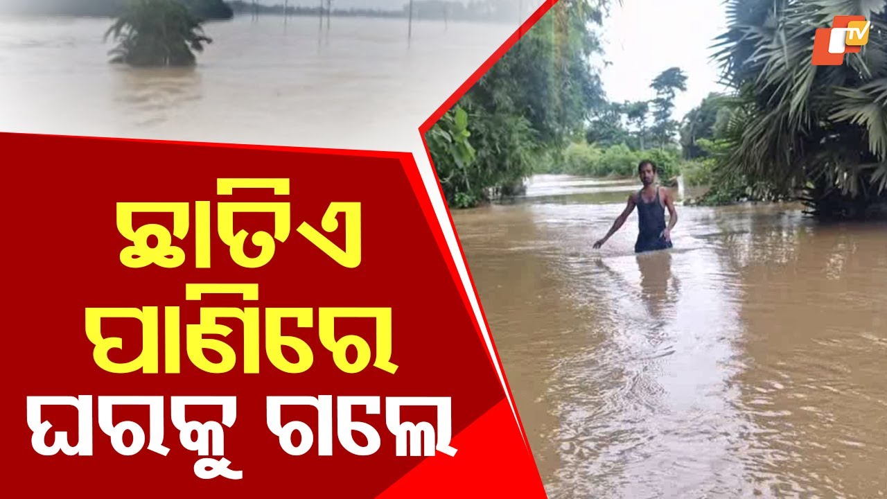 Odisha Flood Horror: Bhograi Residents Risk Lives Walking in Chest-Deep Water