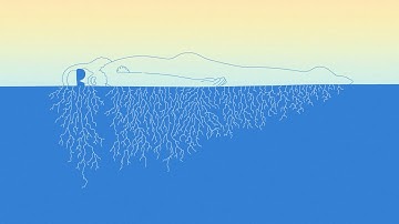 Sébastien Tellier - Stuck in a Summer Love (Official Video)