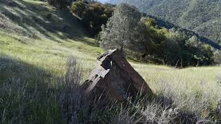 Henry W. Coe State Park 1 Hour | NorCal's Largest State Park in Spring | Scenic Photography