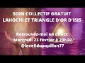 Soin lahochi et triangle dor disis collectif et gratuit