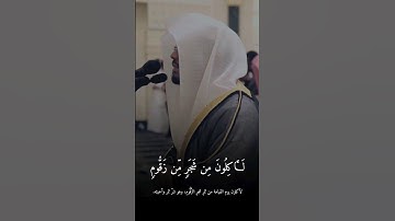 اللهم بارك||تلاوة خاشعة جميلة من سورة الواقعة #ياسر_الدوسري #قرآن #سورة_الواقعة #تلاوات