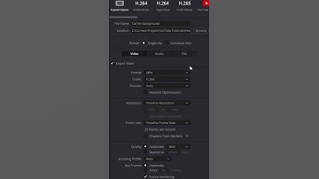 How To Export Transparent Video In Davinci Resolve